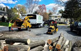 Best Pest Control for Lawns  in Capitan, NM