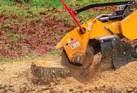 Best Organic Lawn Care Solutions  in Capitan, NM